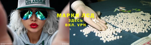 хмурый Алзамай