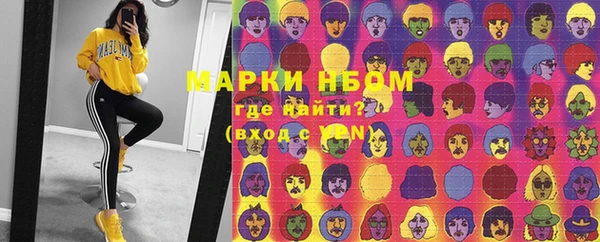 хмурый Алзамай