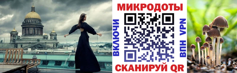 гидра tor сколько стоит Кропоткин Галлюциногенные грибы мицелий